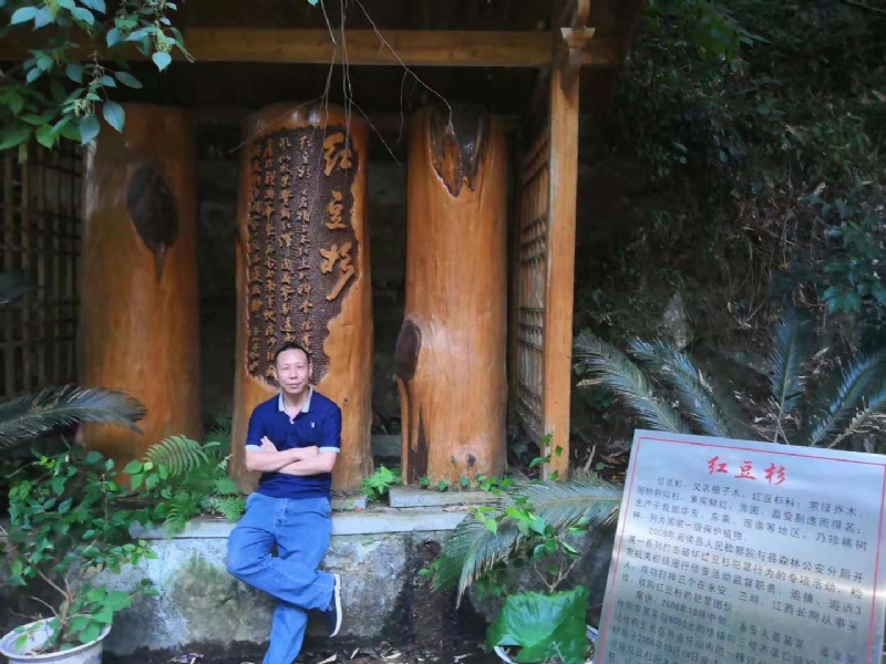 寻寻觅觅的第一张照片--龙海婚介网