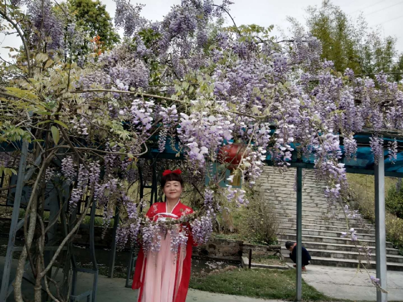莉莉的第一张照片--龙海婚介网