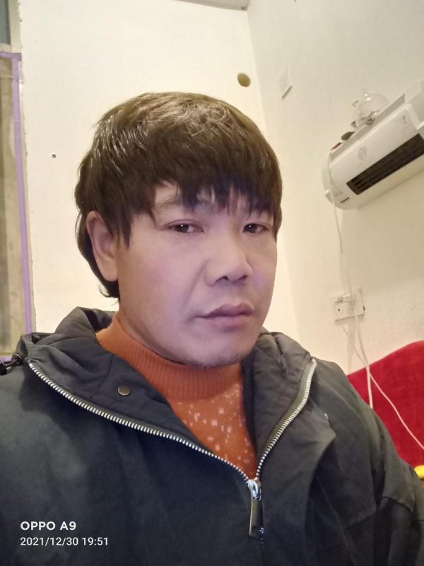 小鸟找窝的第一张照片--龙海婚介网
