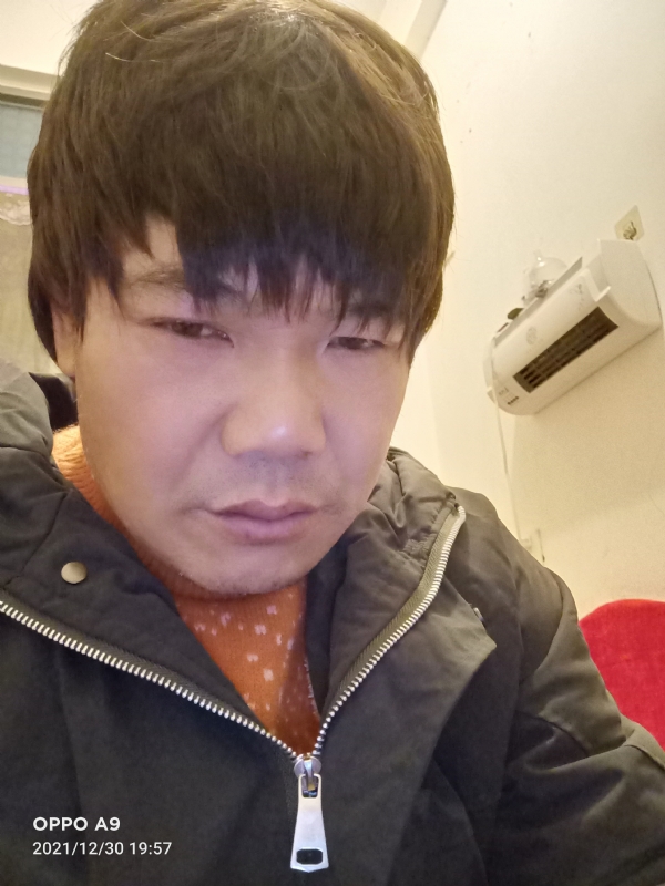 小鸟找窝的第二张照片--龙海婚介网